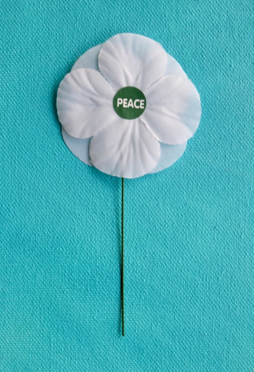 peace poppy