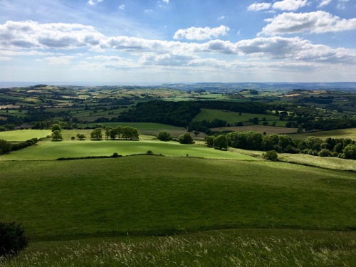 view from Eggardon Hill, Dorset
